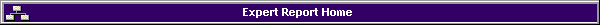 Expert Report Home
