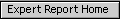 Expert Report Home