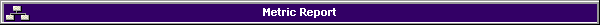 Metric Report