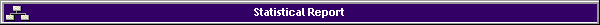 Statistical Report